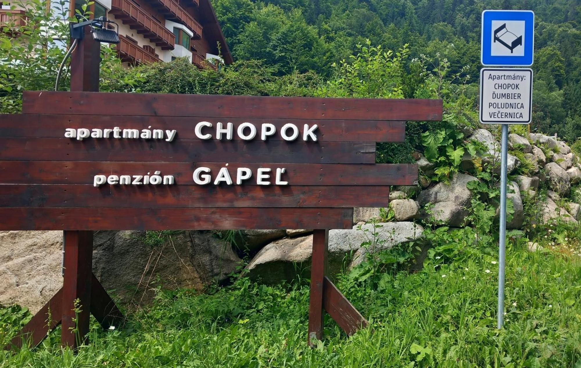 Alpinka, Chopok Juh Horna Lehota